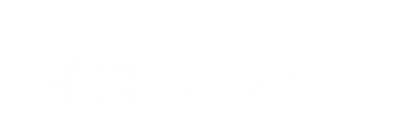 Backyard Nova (2)